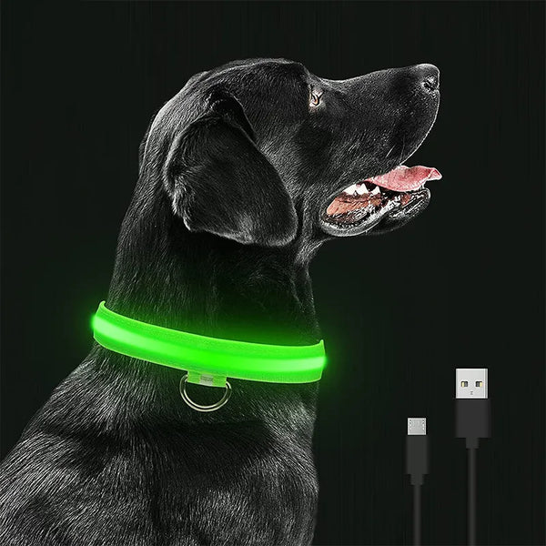 LED Glowing Dog Night Light Collar Pet Dog Safety Necklace